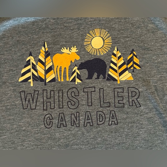 Whistler Mountain Canada Kids Bear & Moose Grey Hooded Long-Sleeve Tee - Picture 4 of 9